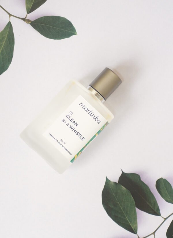 Clean as Whistle by Morlinka