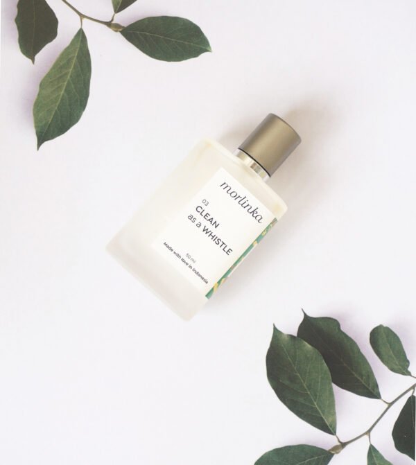 Clean As a Whistle by Morlinka