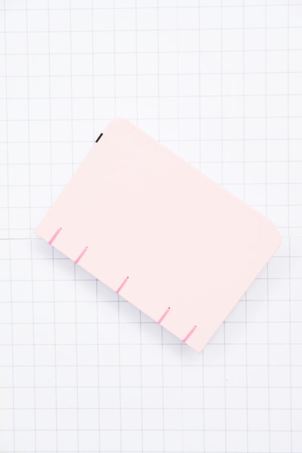 Pulpyrus Official Notebook