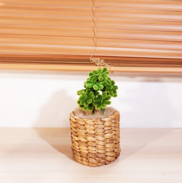 Lucky Clover Scented Mini Pot by Macella Minim