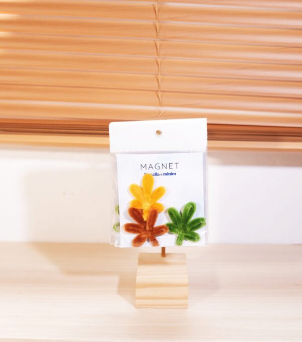 Magnet Series by Macella Minim