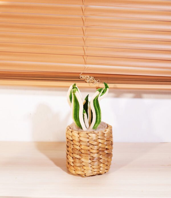 Snake Wave Scented Mini Pot by Macella Minim