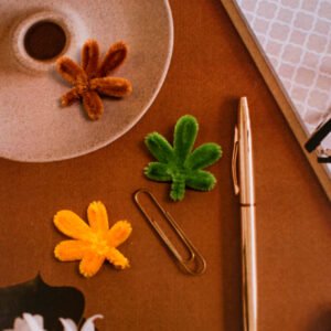 Magnet Series by Macella Minim